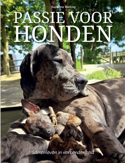 Passie voor honden <br> samenleven in verbondenheid