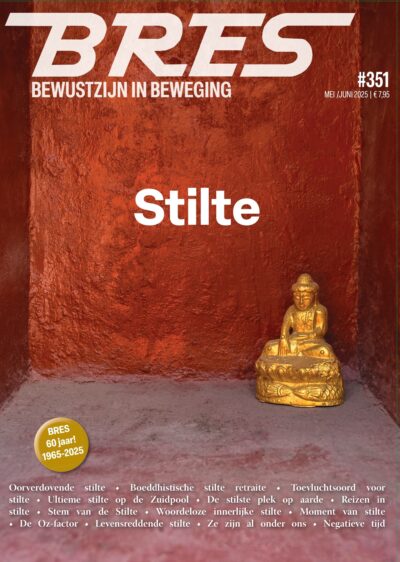 Coverbeeld: foto van steenrode nis met gouden boeddhabeeldje