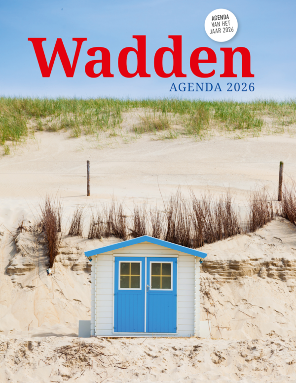 Coverfoto: Houten strandhuisje in de duinen bij blauwe lucht.