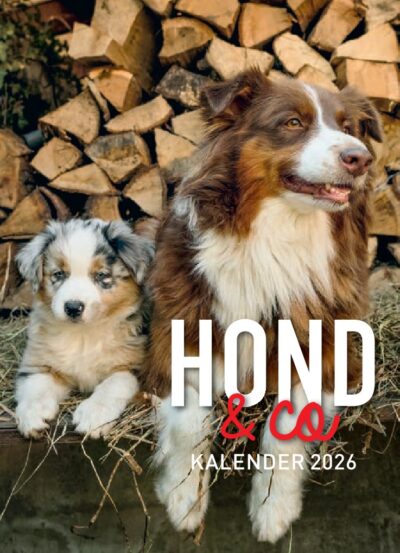 Omslagfoto: pup eb schaapherdershond liggen op een bak met hooi, met op de achtergrond opgestapeld haardhout.