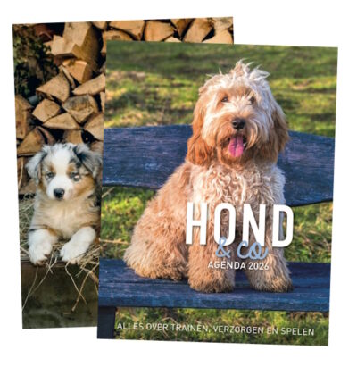 Covers van agenda en kalender