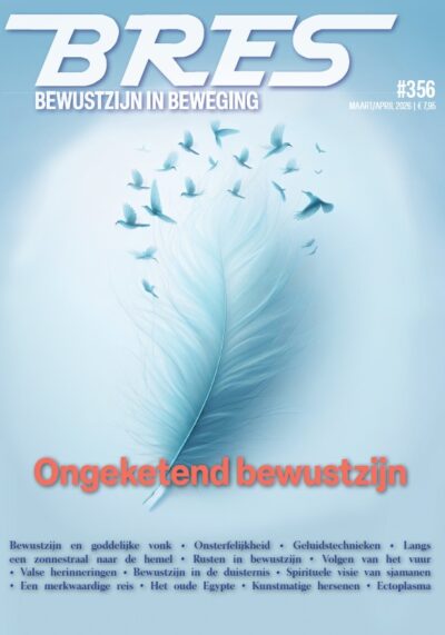 Coverafbeelding: een witte donsveer waaruit een vlucht vogels opstijgt.