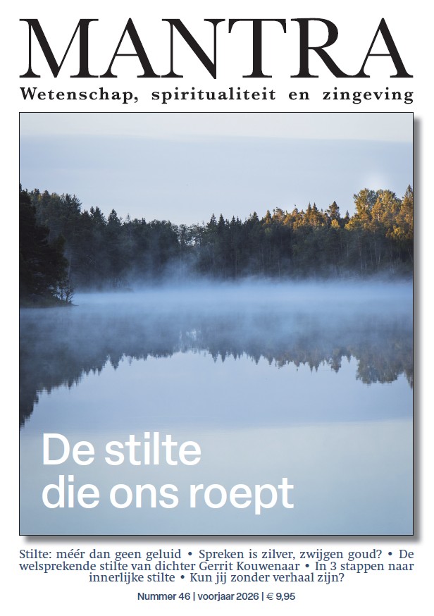 Coverfoto: mist op een door bomen omzoomd meertje.