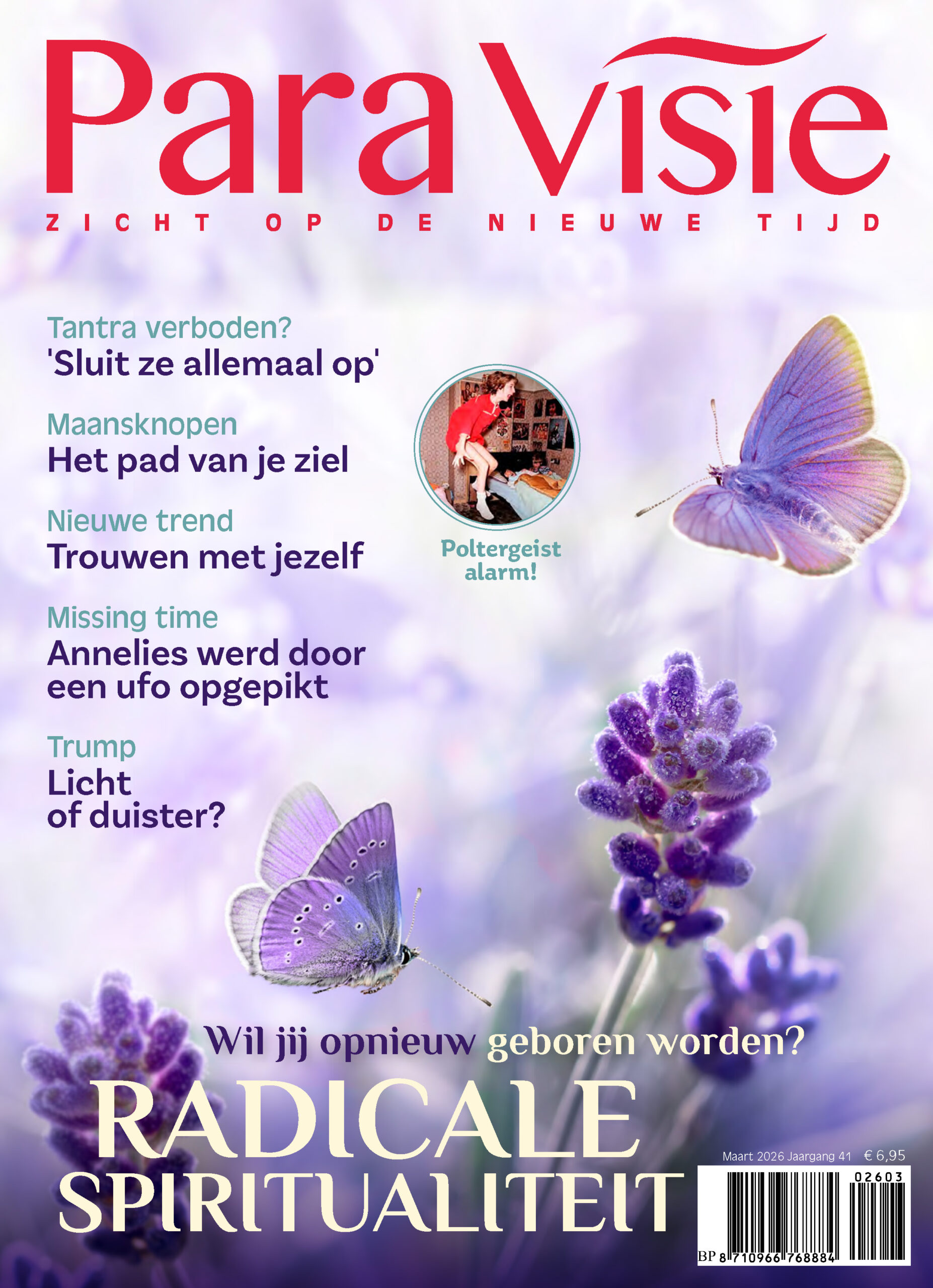 Coverafbeelding: lavendel met vlinders