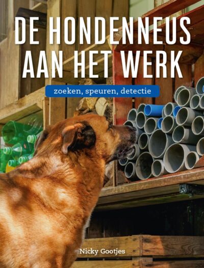 Foto van hond die voor een muur van open kokers staat en ruikt aan een koker.