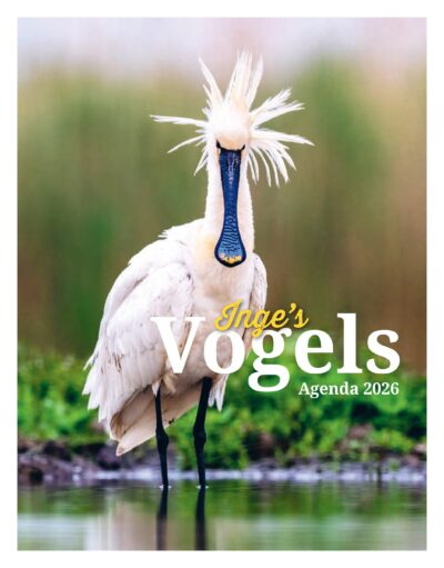 Inge’s Vogels <br> agenda 2027
