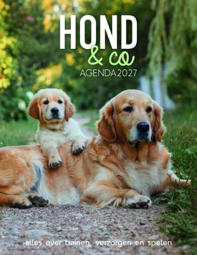 Hond & Co <br> agenda 2027