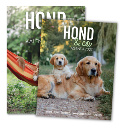 Covers van beide producten. Scheurkalender met forto van een hond in de hangmat in de tuin en agenda met golden retriever en pup liggend op het tuinpad.